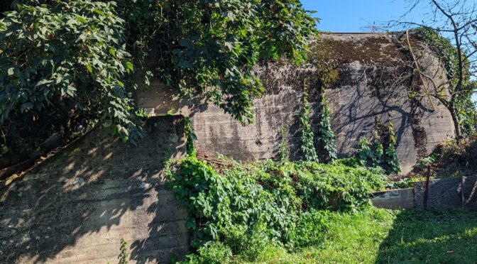 Wanderung des Rodena Heimatkundevereins zu den Bunkeranlagen in Roden